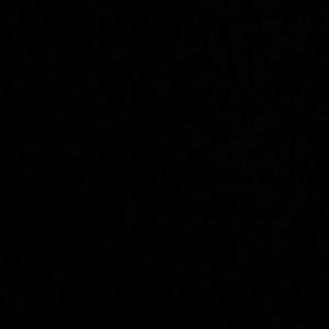 Meet your Posher, Paniz